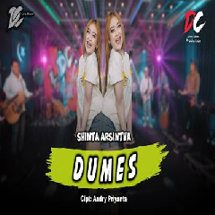 Shinta Arsinta - Dumes DC Musik