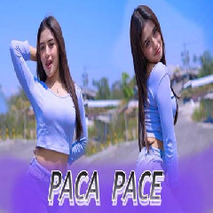 Kelud Music - Dj Paca Pace Ting Tang Ting